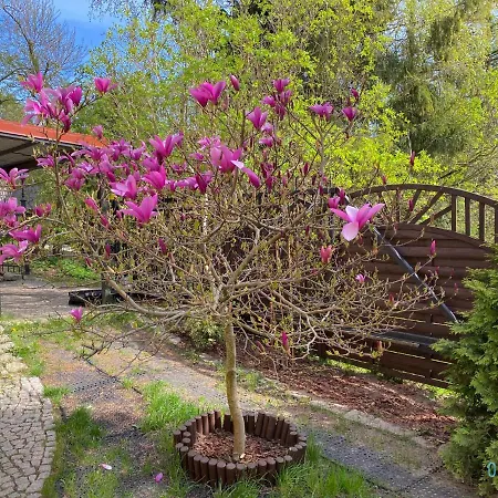 Lux - Lakefront In With Sauna & Hot Tub Only 30 Minutes From Gdansk And Gdynia Apartment *