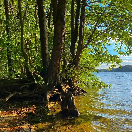 Lux - Lakefront In With Sauna & Hot Tub Only 30 Minutes From Gdansk And Gdynia Kamien (Pomerania)